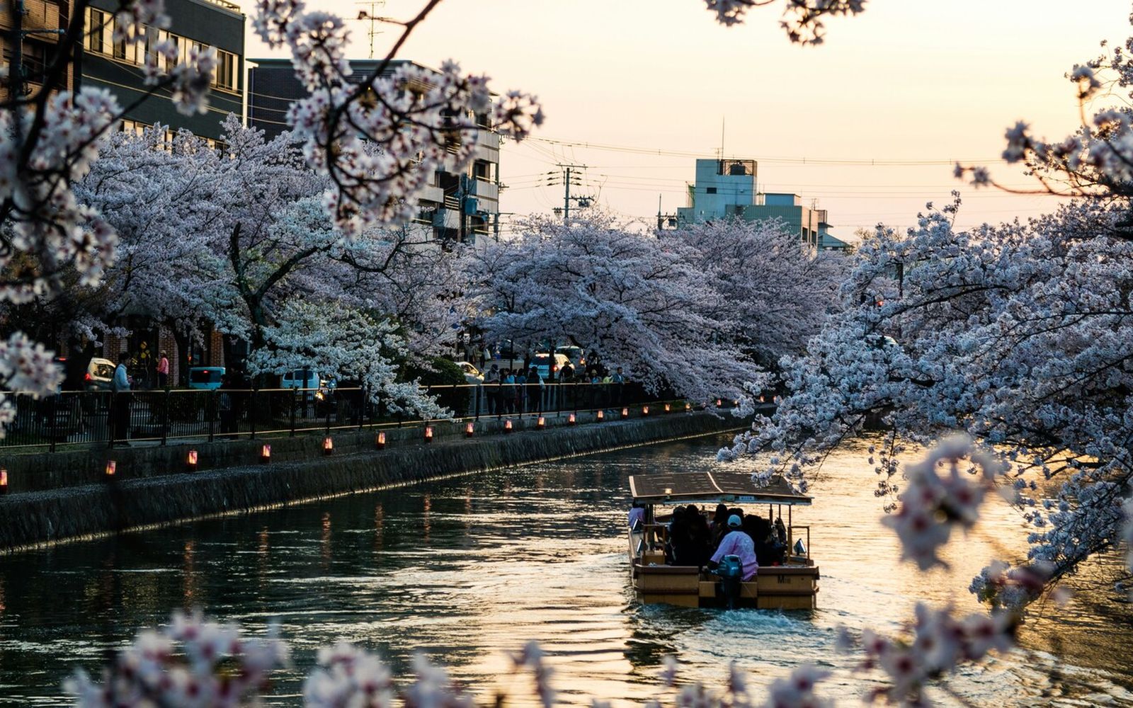 深夜のコンビニ飯、その小さな贅沢